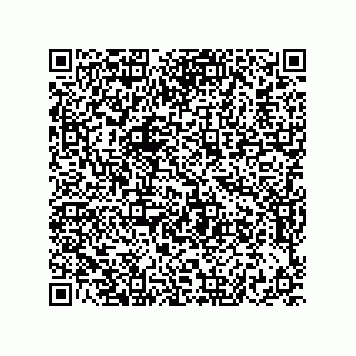 vCard 73822240181