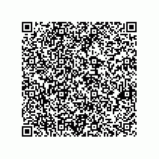 vCard 73822240190