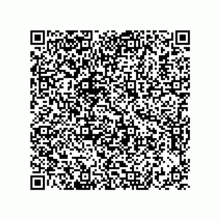 vCard 73822240196