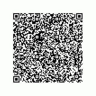 vCard 73822240199