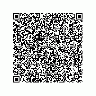 vCard 73822240203