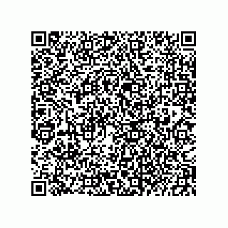 vCard 73822240210