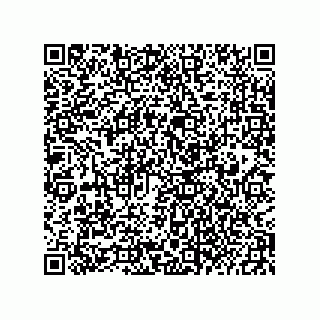 vCard 73822240219