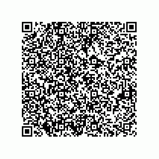 vCard 73822240221