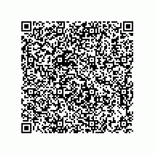 vCard 73822240245