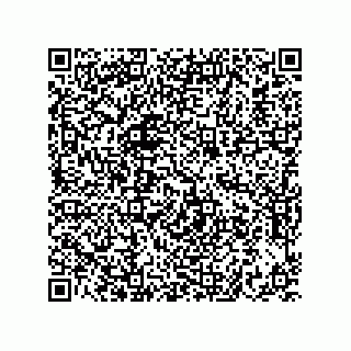 vCard 73822240248