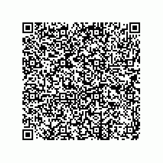 vCard 73822240249