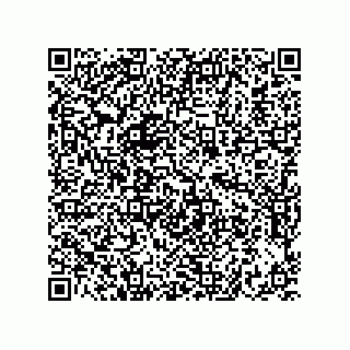 vCard 73822240265