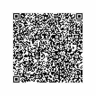 vCard 73822240281