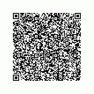 vCard 73822240287