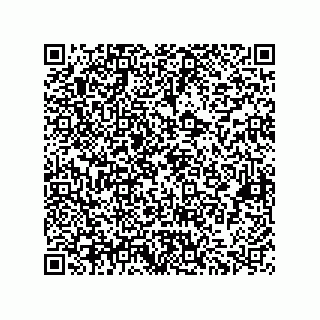 vCard 73822240291