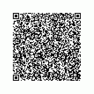 vCard 73822240297