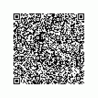 vCard 73822240299