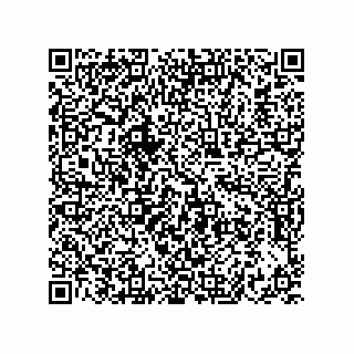 vCard 73822240303