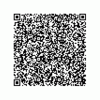 vCard 73822240304