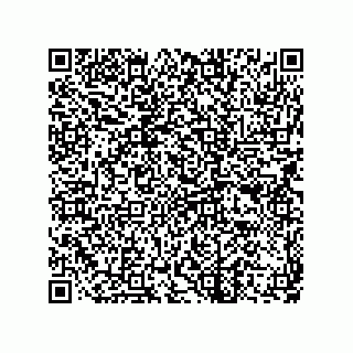 vCard 73822240305