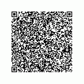 vCard 73822240306