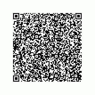 vCard 73822240311