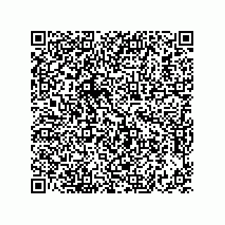 vCard 73822240312