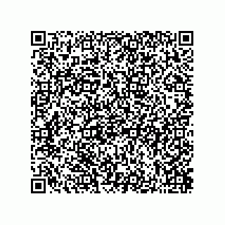 vCard 73822240313