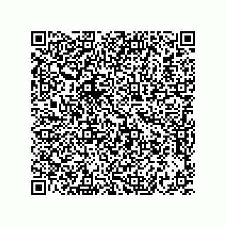 vCard 73822240317