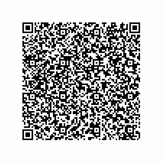 vCard 73822240319