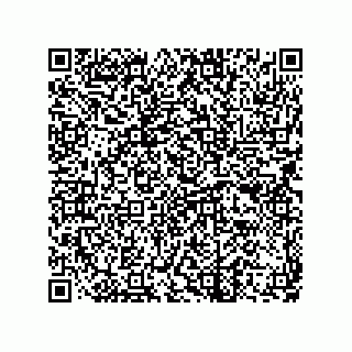 vCard 73822240325