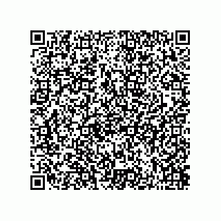 vCard 73822240329