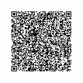 vCard 73822240331