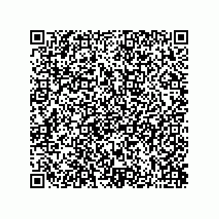 vCard 73822240332