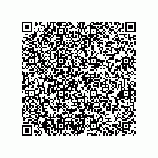 vCard 73822240333