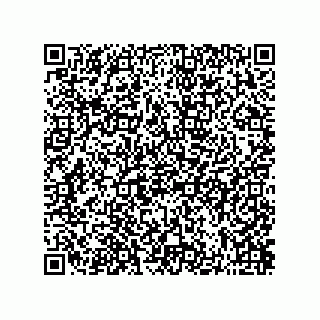 vCard 73822240334