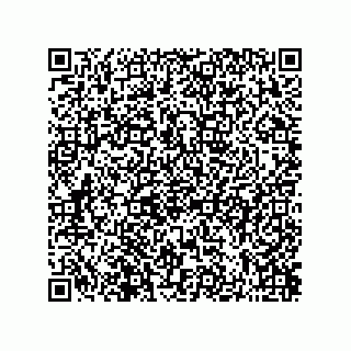 vCard 73822240335