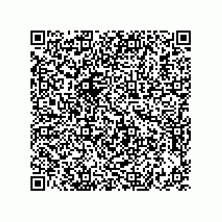 vCard 73822240339
