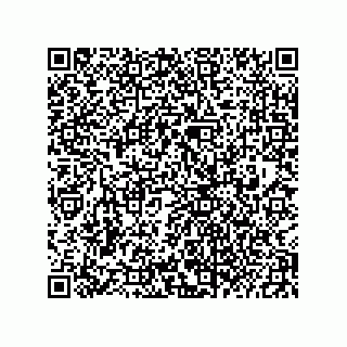 vCard 73822240341