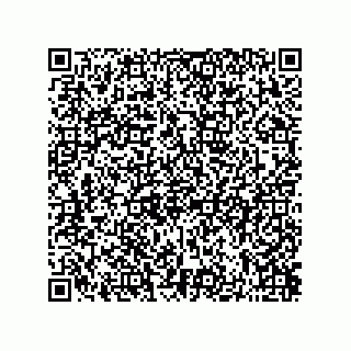 vCard 73822240349