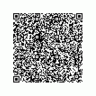 vCard 73822240381