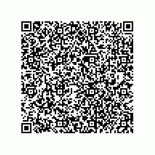 vCard 73822240384