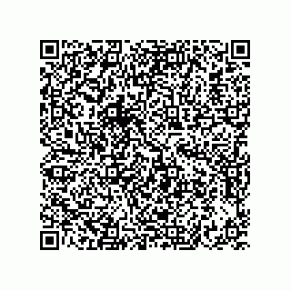 vCard 73822240386