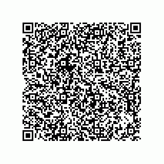 vCard 73822240387