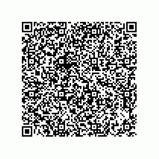 vCard 73822240395