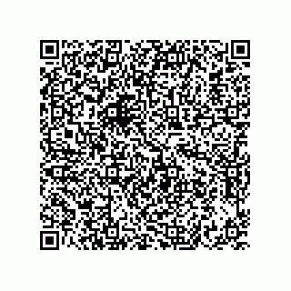 vCard 73822240398