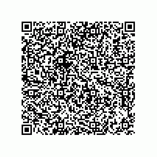 vCard 73822240399