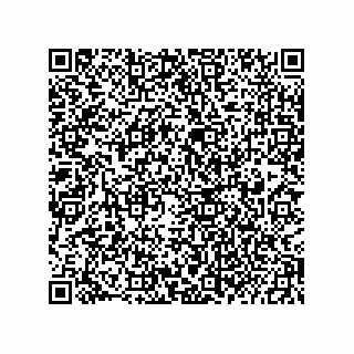 vCard 73822250029