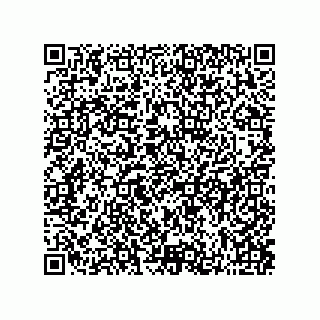 vCard 73822250095