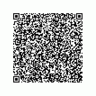 vCard 73822250133