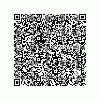 vCard 73822250203