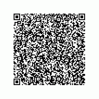 vCard 73822250211