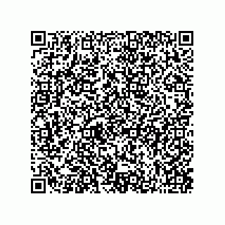 vCard 73822250263