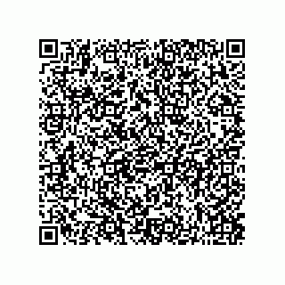 vCard 73822250313